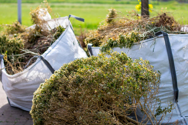 Demolition Debris Removal in Webster, FL